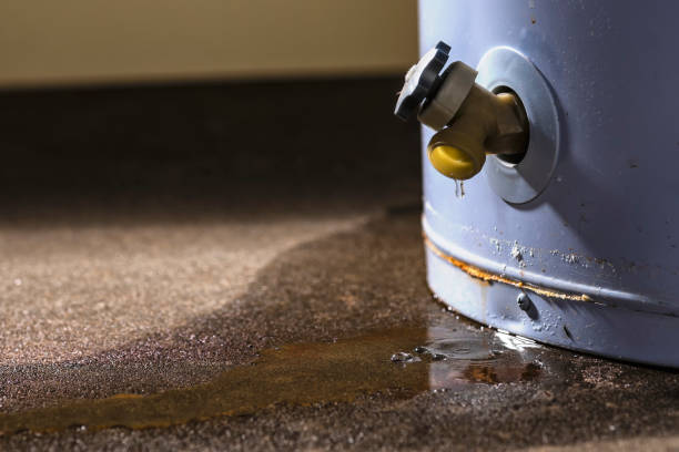 Best Sewage cleanup and water damage restoration  in Glendale Heights, IL