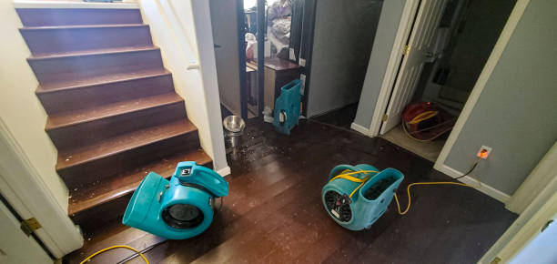 Carpet water damage restoration in IL