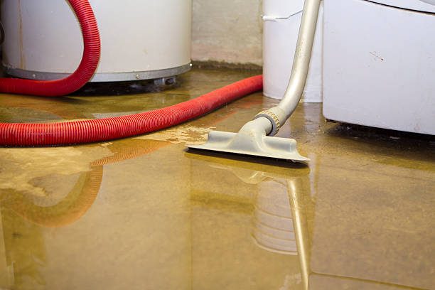 Best 24/7 water damage repair  in Glendale Heights, IL