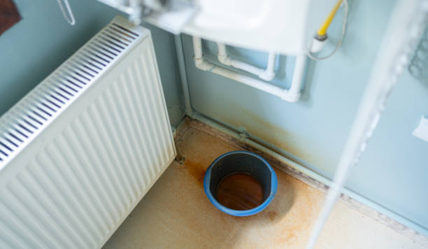Best Water damage repair service  in Glendale Heights, IL