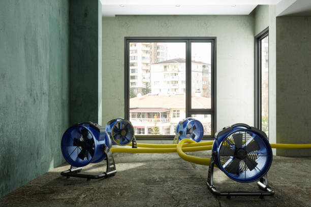 Best Flooded house restoration  in Glendale Heights, IL